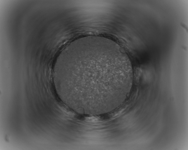 X0000097660511200803071535