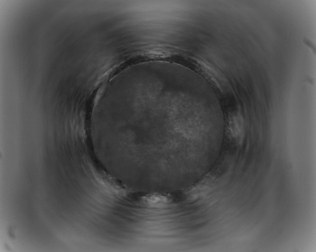 X0000097660512200803071535