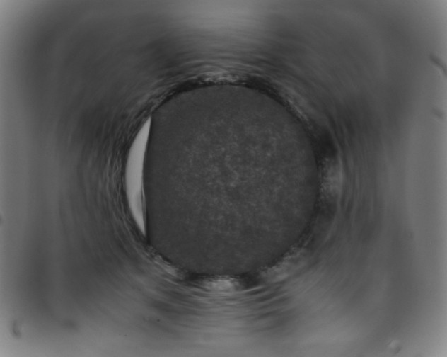X0000097660513200803071535