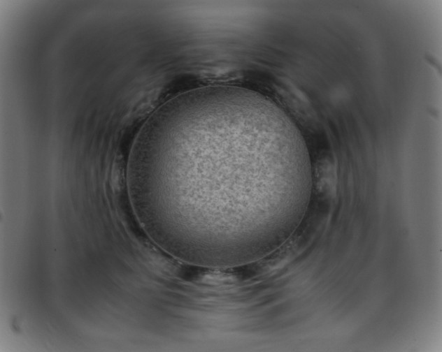 X0000097660515200803071535
