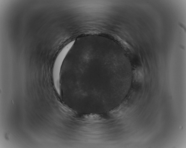 X0000097660517200803071535