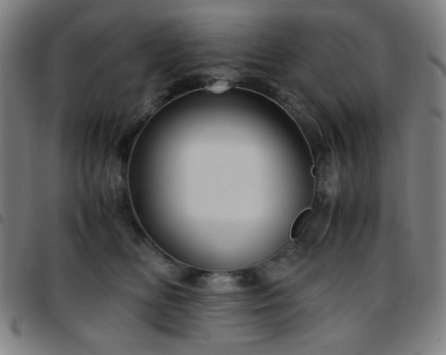 X0000097660518200803071535