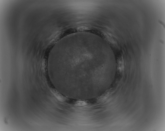 X0000097660519200803071535