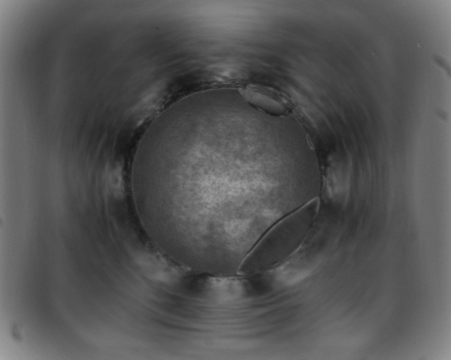 X0000097660520200803071535