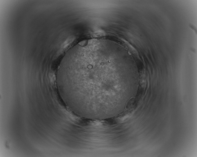 X0000097660523200803071535