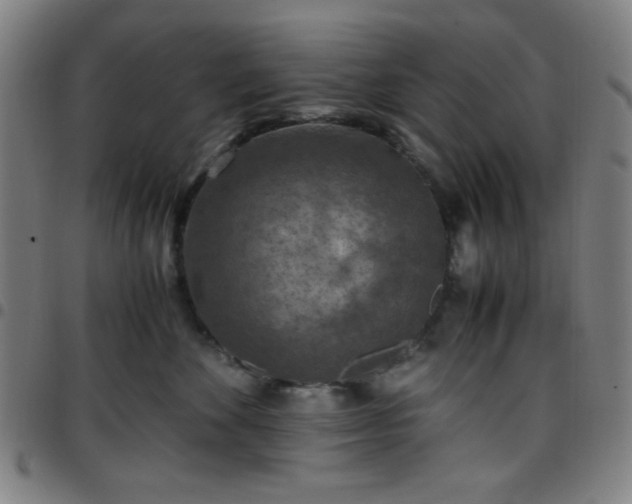 X0000097660524200803071535
