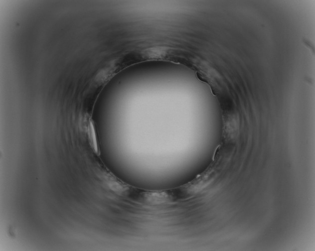 X0000097660525200803071535