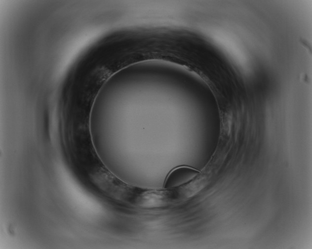 X0000097660526200803071535
