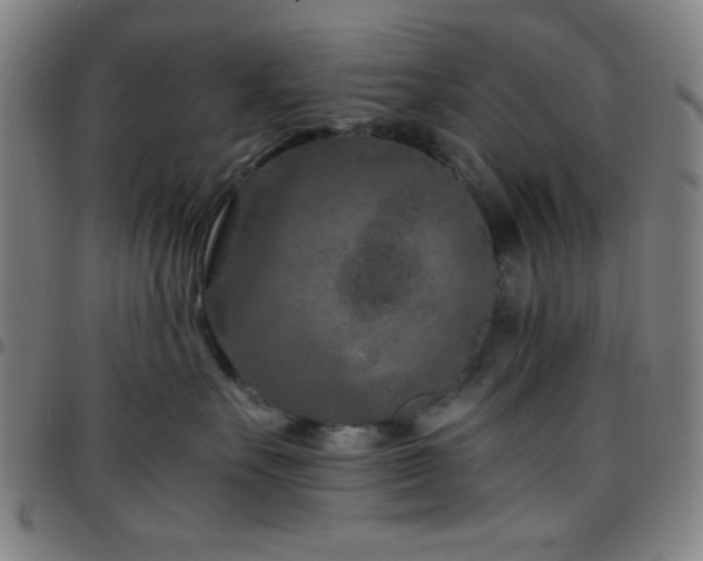 X0000097660527200803071535