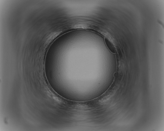 X0000097660529200803071534