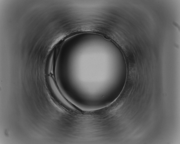 X0000097660530200803071534