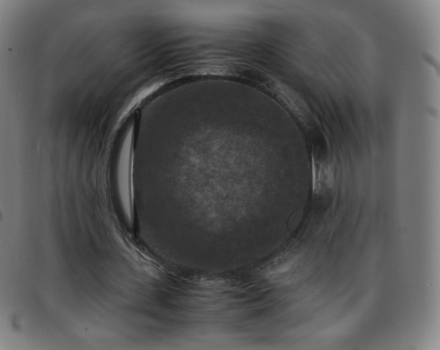 X0000097660531200803071534