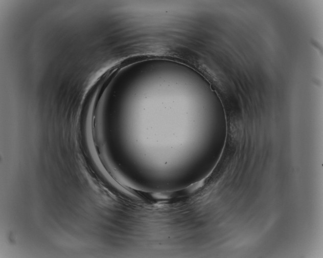 X0000097660532200803071534