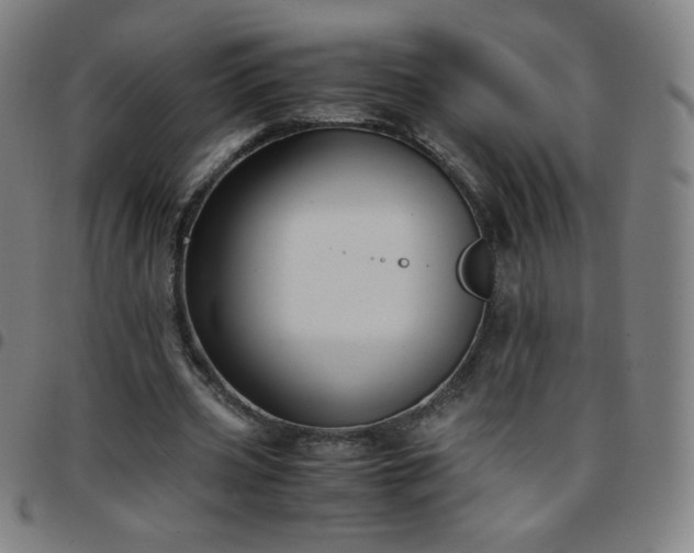 X0000097660533200803071534