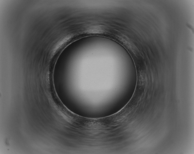 X0000097660535200803071534