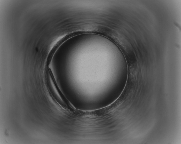 X0000097660536200803071534