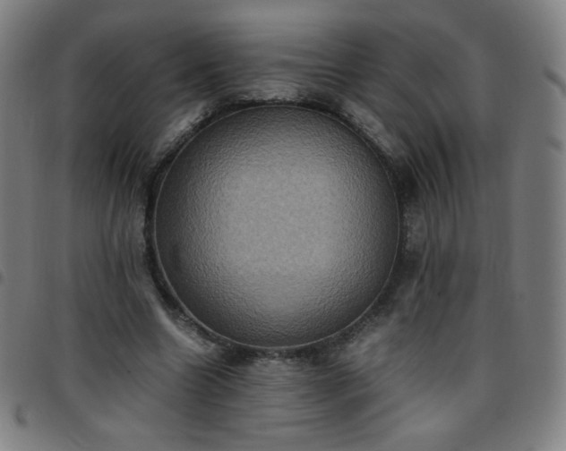 X0000097660538200803071534
