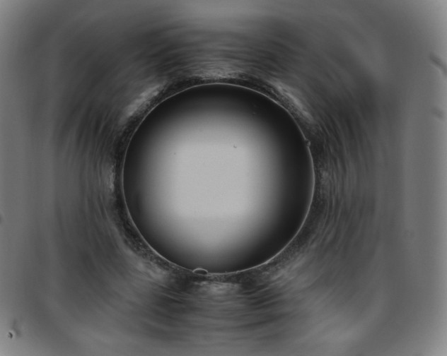 X0000097660539200803071534