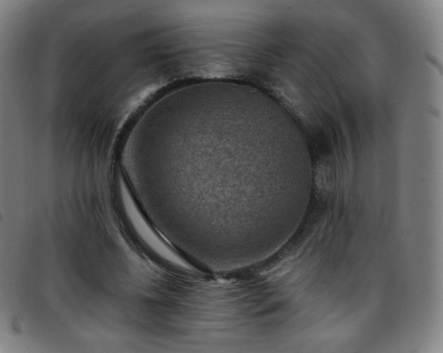 X0000097660540200803071534