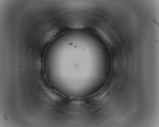 X0000097660541200803071534