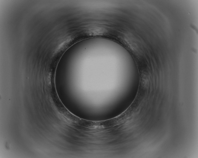 X0000097660543200803071534