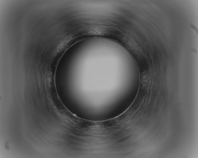 X0000097660544200803071534