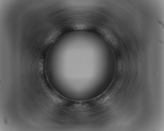 X0000097660545200803071534