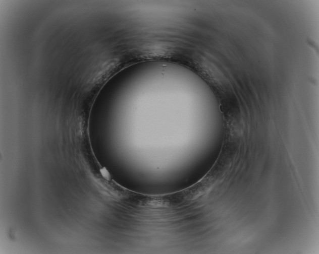 X0000097660546200803071534