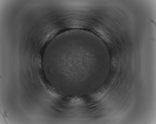 X0000097660547200803071534