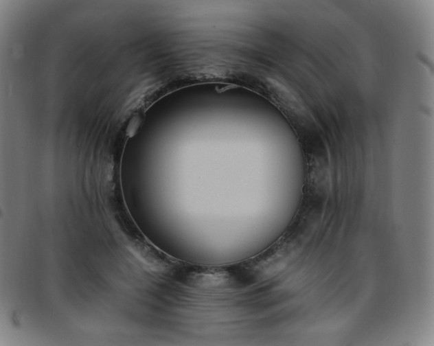 X0000097660548200803071534