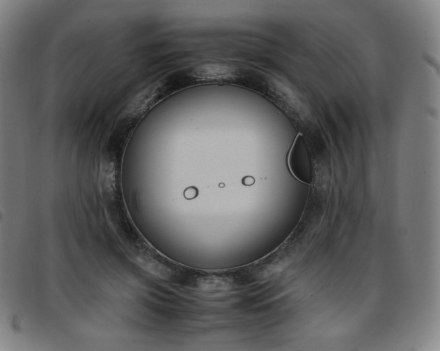X0000097660549200803071534