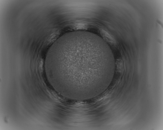 X0000097660550200803071534