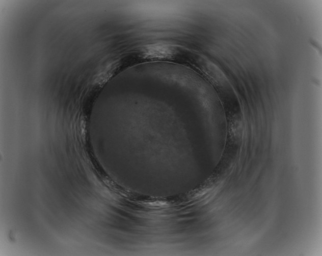 X0000097660551200803071535