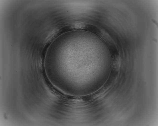 X0000097660552200803071535
