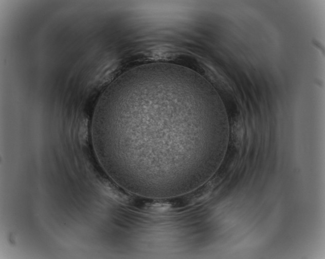X0000097660554200803071535
