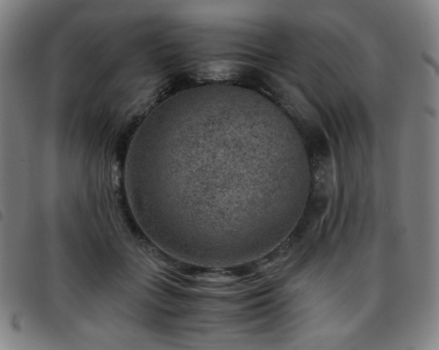X0000097660555200803071535