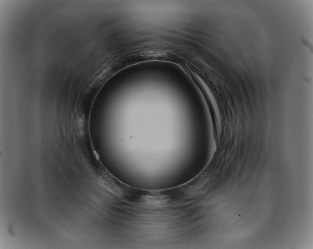 X0000097660556200803071535