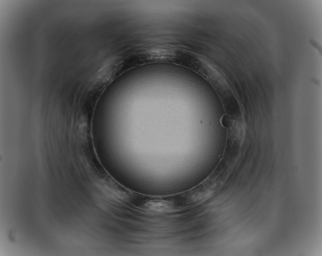 X0000097660557200803071535