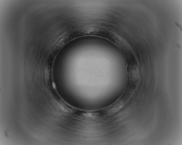 X0000097660558200803071535