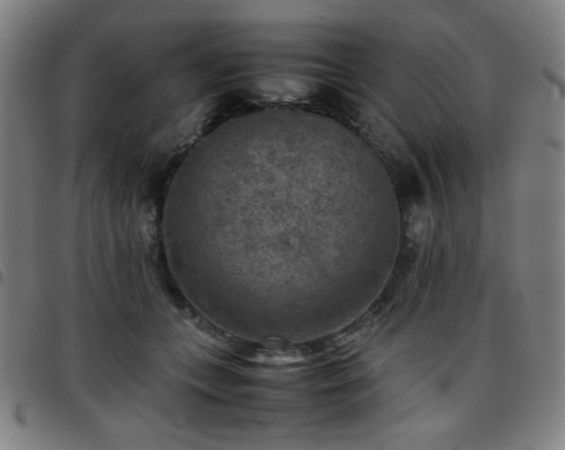 X0000097660559200803071535