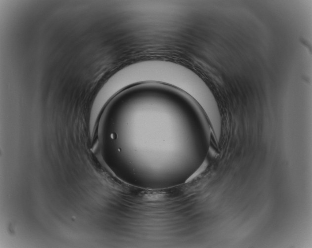 X0000097660560200803071535