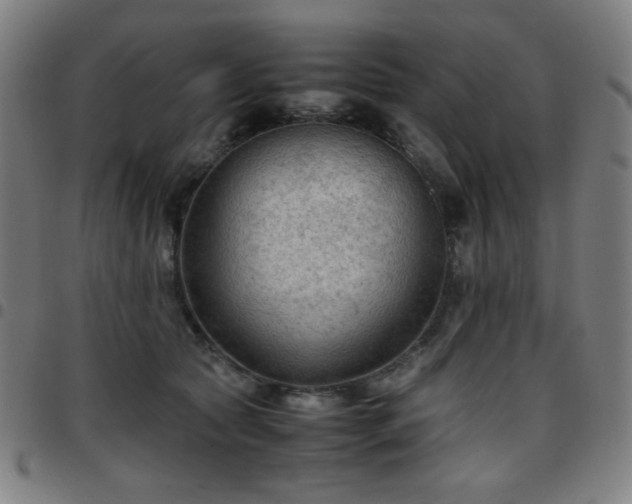 X0000097660561200803071535