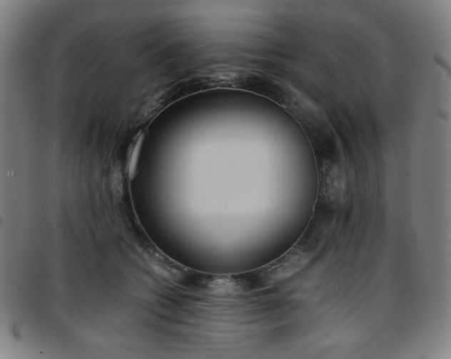 X0000097660562200803071535