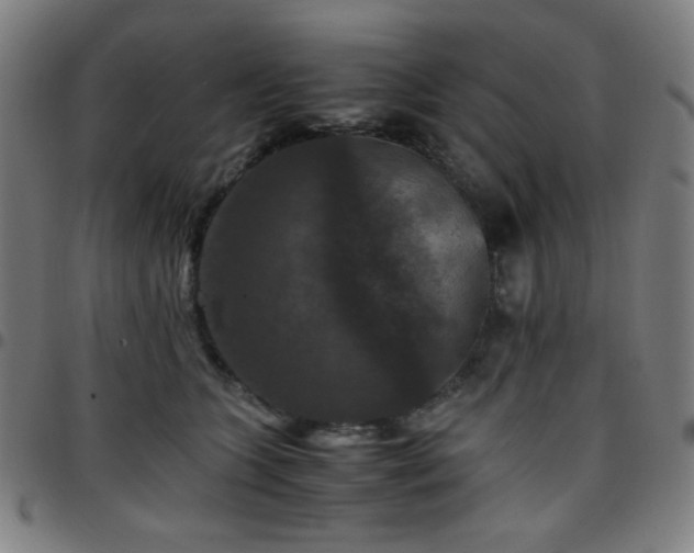 X0000097660563200803071535