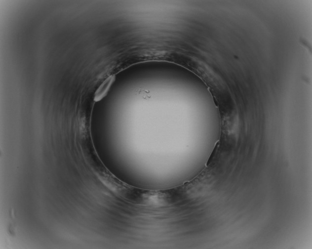 X0000097660564200803071535