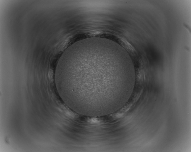 X0000097660565200803071535