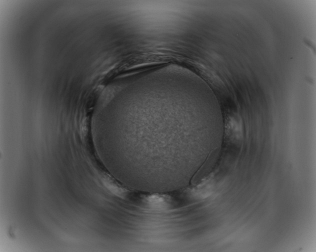 X0000097660566200803071535