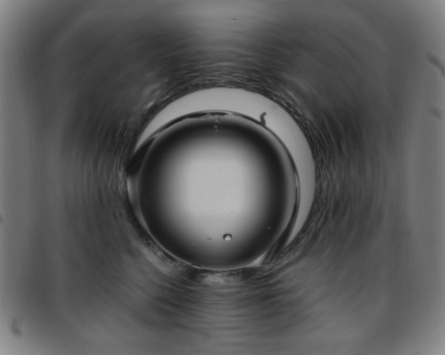 X0000097660568200803071535