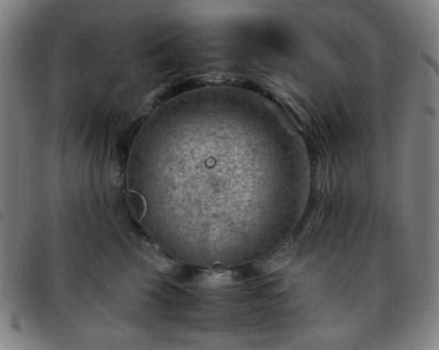 X0000097660569200803071535