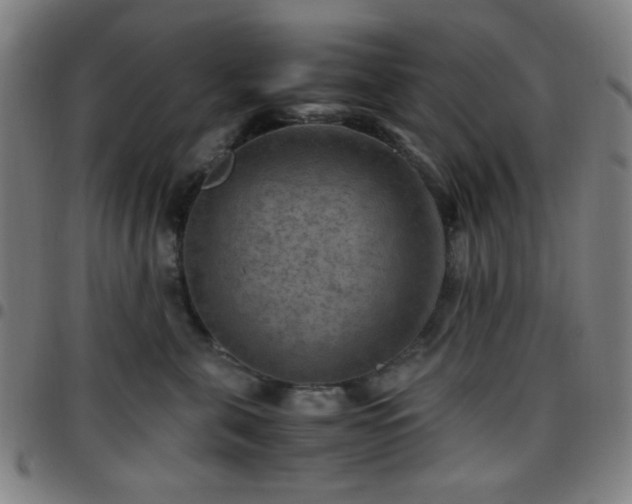 X0000097660571200803071535